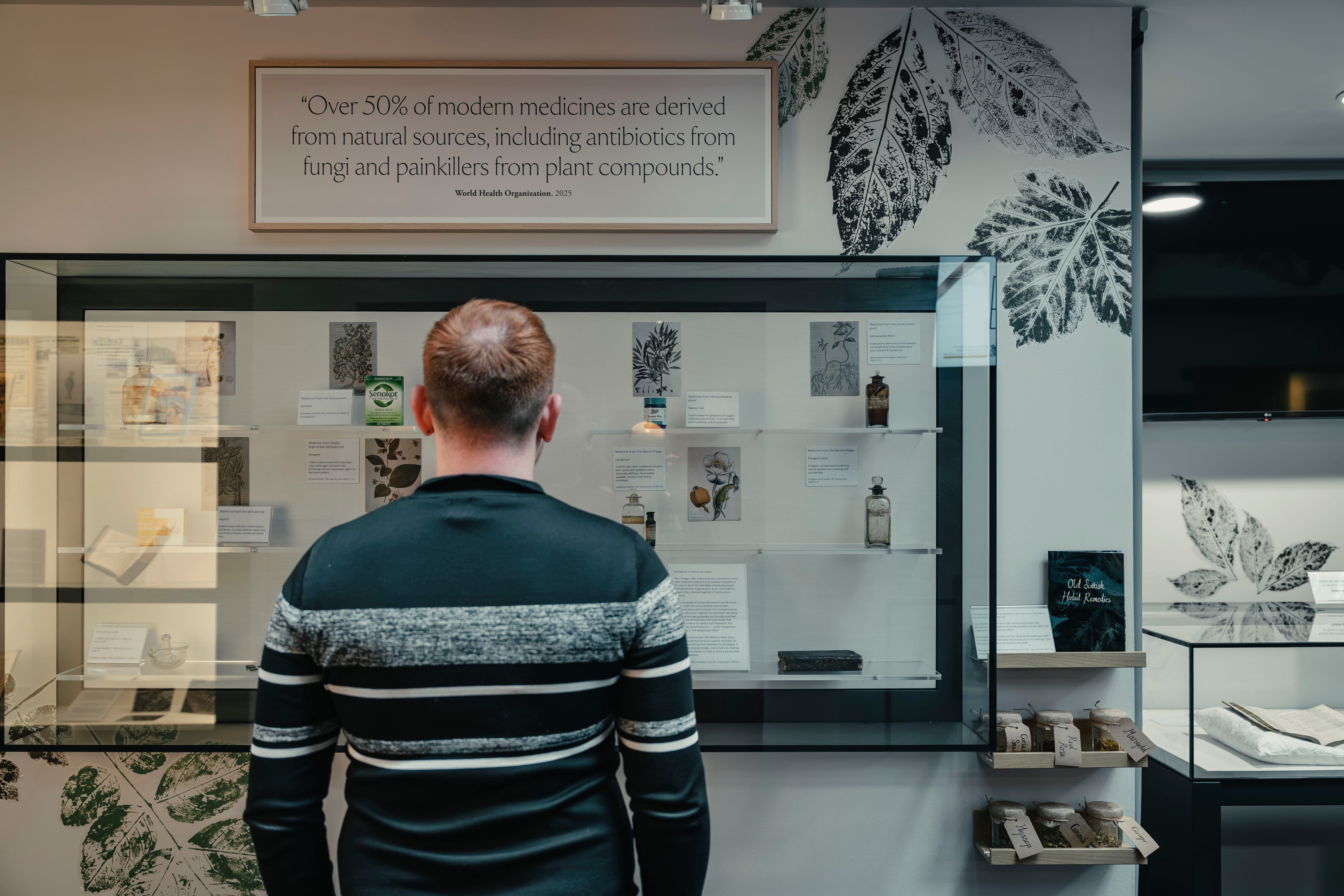 Dear Green Places Gallery 4